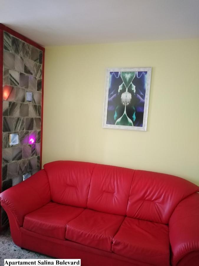 Apartament Salina Bulevard Alba Iulia Exteriör bild